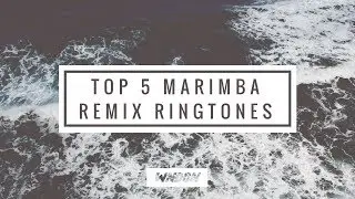 TOP 5 Marimba Remix Ringtones &bull; FREEDOWNLOAD // WNDGN