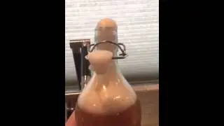 Fermented Ginger Ale - Carbonation!