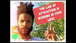 PROOF the Law of Attraction is WORKING In Your Life!| Think and Grow Rich Napoleon Hill Concepts