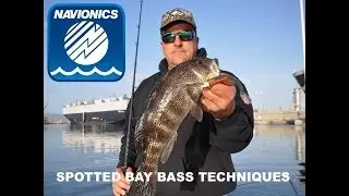 Spotted Bay Bass Techniques Webinar