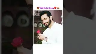 your my love #shortsviral #terebin2 #wahajali #murtasim #murtasimmeerab #viralreel #pakdarama #vm