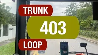 Go-Ahead Trunk 403 | Bus Service Route Visual