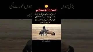 urdu best quotes|aurat quotes in urdu|urdu poetry #urdupoetry #urduquetes#shortquotes #video#shorts