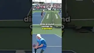 Pickleball Dinking Masterclass: Andre Daescu's Insane Control!