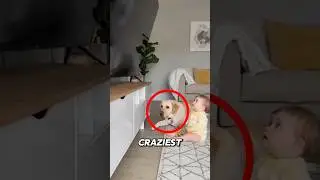 Dog SAVES Baby! 😱