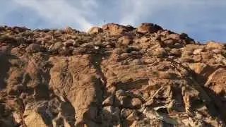 Hoehn Audi Creative Video