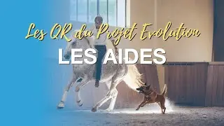 LES QUESTIONS/REPONSES DU PROJET EVOLUTION - L'utilisation des aides