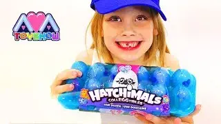 One dozen Hatchimals Colleggtibles egg box