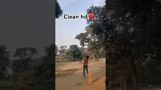 Clean hit❤️ #cricket #cricketlove #cricket #shots #worldcup #shots