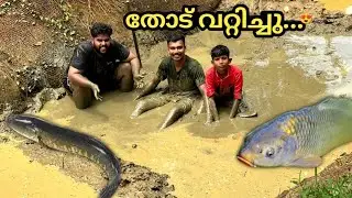 ഈ ചെറിയ തോട്ടിൽ ഇത്രക്കതികം മീനുകളോ...😱 |  Lot's of sneak head fishes in small water field |