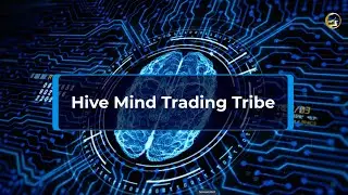 What is the Hive Mind Trading Tribe?