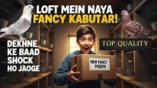 Loft Mein Laya Naya Fancy Kabutar! 😱 | Dekho Kitna Rare Pigeon Laya Hun 🕊❤️