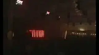 Palmfuif 2008