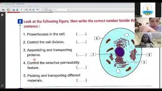 Lecture 4-science grade 6 part 1 - comparing plant &animal cell-ms. samia