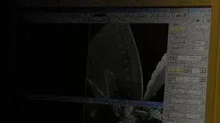 Scanning Electron Microscope EDX