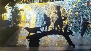 🦜ЗНАКОМСТВО С ПОПУГАЕМ АРА, СОХО- СКВЕР ШАРМ ЕЛЬ ШЕЙХ.✨🌴💫🌟