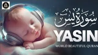 Surah Yaseen (سورۃ یٰسین) – Beautiful & Heart Touching Quran Recitation | ALAA Aqel | 006