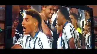 Fogão  Campeão, 2024!!!