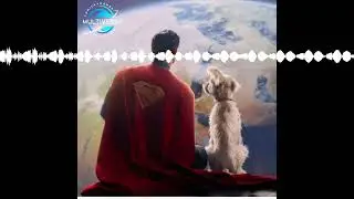 Superman Movie Companion
