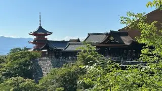 Japan Travel 2025: Tokyo, Kyoto, Hozugawa River, Gion District and Festival