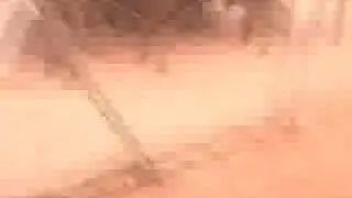 Route to Routes - Alice Springs - Richie's Theory On Emu