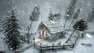 Wind Storm Cold. Bone Chilling Winter Wind Storm Cold Weather | Subzero Night Calm