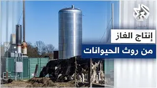 هل ينهي الغاز الحيوي أزمة الطاقة في ألمانيا؟