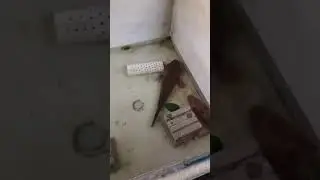 monster ketutu