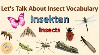 Learn Insect Names in German | Fun & Easy German Vocabulary for Kids & Beginners! 🐝🦋🐞