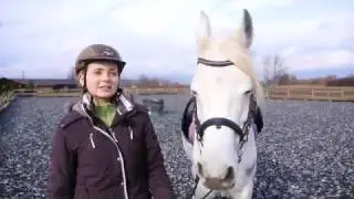 OTTO ReiTex Polen 4horses