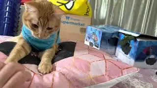 Try not to laugh at Bobby&rsquo;s wet New Year&rsquo;s Eve adventures.