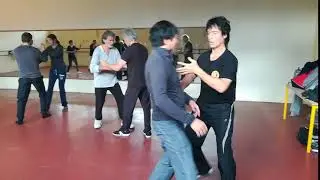 APPLICATION MARTIALE DANS L&rsquo;ABSORPTION (DANS LE TUI SHOU)