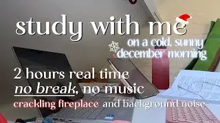 2 HOUR study with me (deep work) 🔥🪵| no breaks, no music, fireplace sounds and background noise