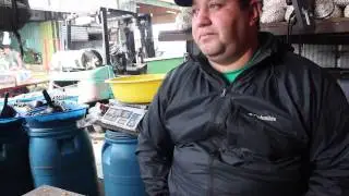 Chess Boss. El rey del Zapallo: Lucidoro y su historia con el Ajedrez.