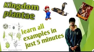 Plant Kingdom - Short tricks | Learn All examples in just 5 min. | #biokataa #neet #shubhammuley