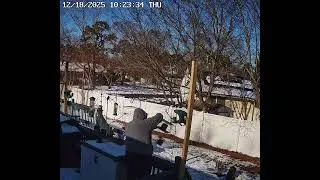 Ruby-crowned Kinglet shows up while I am filling the feeder