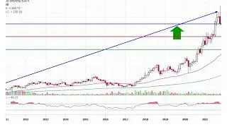 Jubilant Food Fundamental analysis 2022
