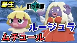 【冠の雪原】『ムチュール・ルージュラ』野生での出現場所・入手方法！進化条件も実況解説【ポケモン剣盾】ニャン速ちゃんねる
