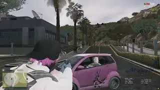 [AlphaCity] TCP Quit... 🚬🚬