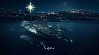 SIT DOWN FOR THIS ONE 🐳 THE WHALE COMMUNITY 