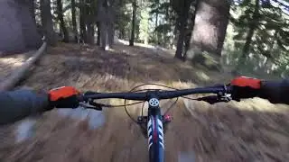 Bryan Meadow Trail to the PCT via Sierra@Tahoe Ski Resort