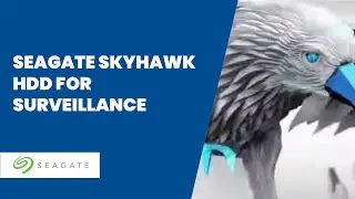 Seagate SkyHawk HDD for Surveillance: Smart, Safe, Secure
