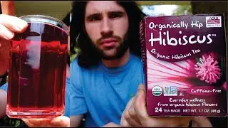 Organically Hip Hibiscus Organic Hibiscus Herbal Tea Taste Test and Review Now Real Tea