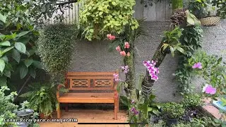 Plantei essa flor e ela não para de florescer 😍🌼