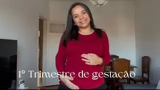 O que ningu&eacute;m conta sobre estar GR&Aacute;VIDA!  1&ordm; trimestre de GESTA&Ccedil;&Atilde;O.