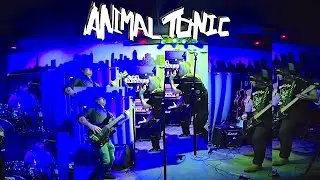 New Indie Band Live On Stage