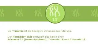 Der Harmony&reg; Prenatal Test