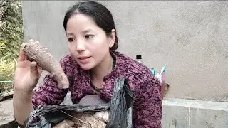 A Day in my life After many days and eating sweet potatoes