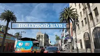 HOLLYWOOD BLVD. FULL LENGTH 4K DRIVE WESTBOUND