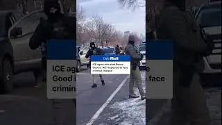 ICE agent who shot Renee Good 'not expected to face criminal charges'
